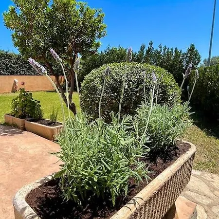 Casa De Ensueno Cerca De La Playa Holiday home Cala Millor (Mallorca)